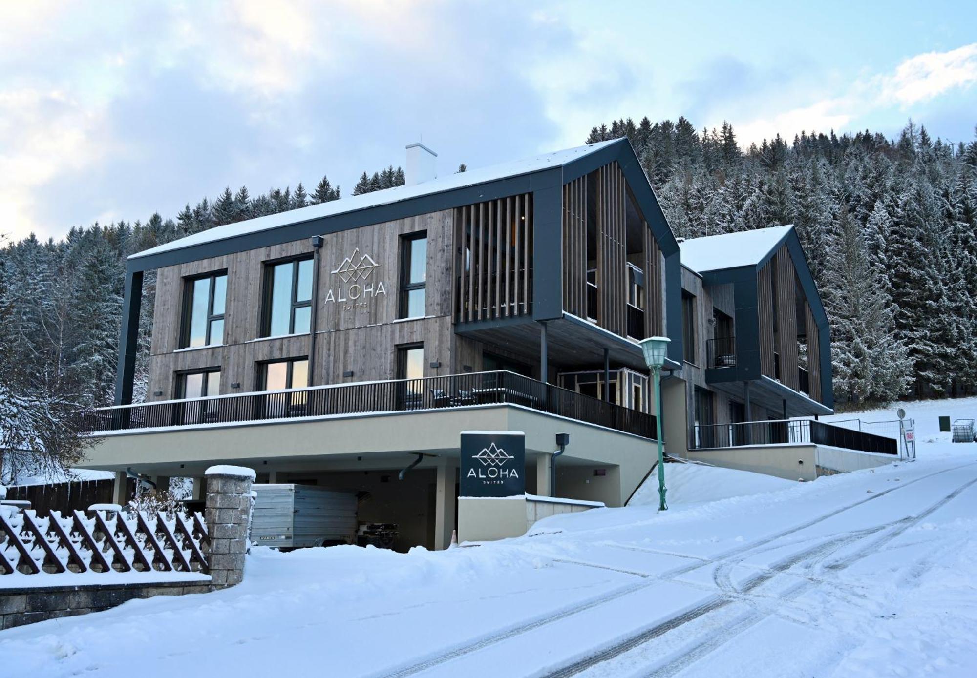 Aloha Suites - Alpin Lodge Haus Haus im Ennstal Exterior photo