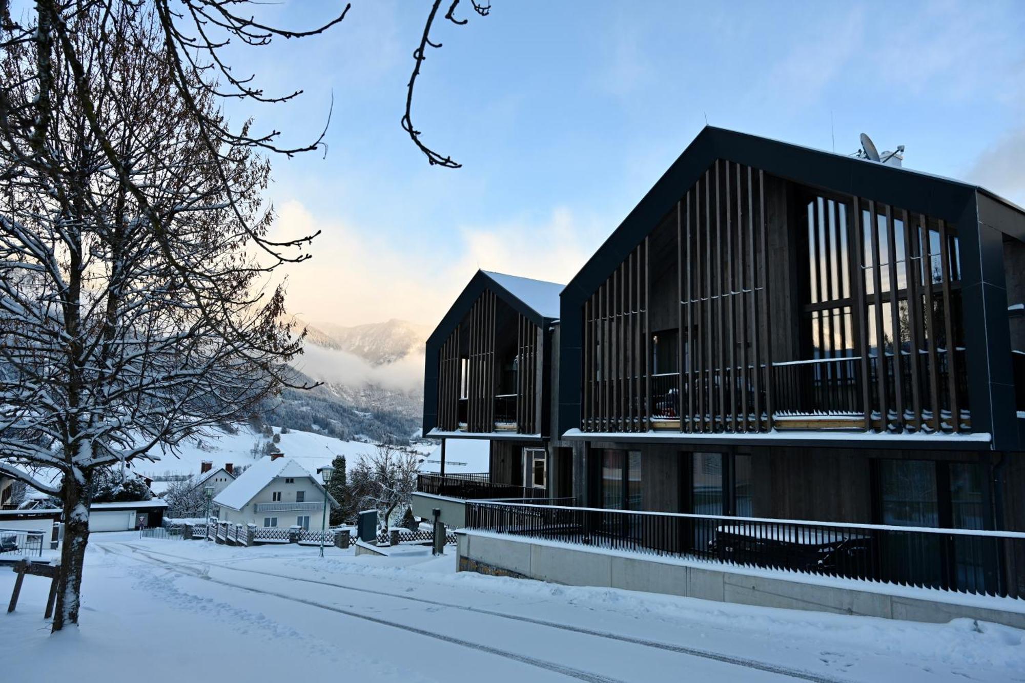 Aloha Suites - Alpin Lodge Haus Haus im Ennstal Exterior photo